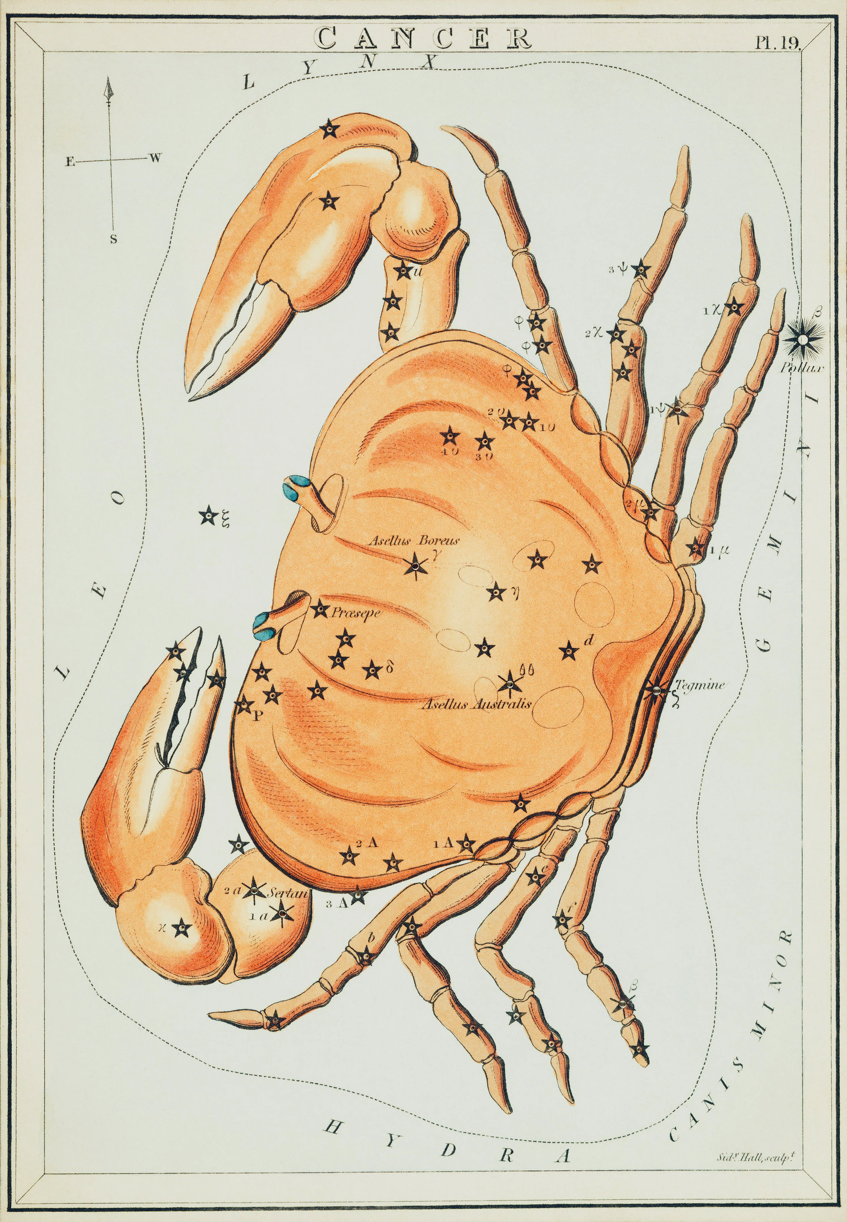 Astronomical chart illustration of the Cancer Zodiac (1831) by Sidney Hall