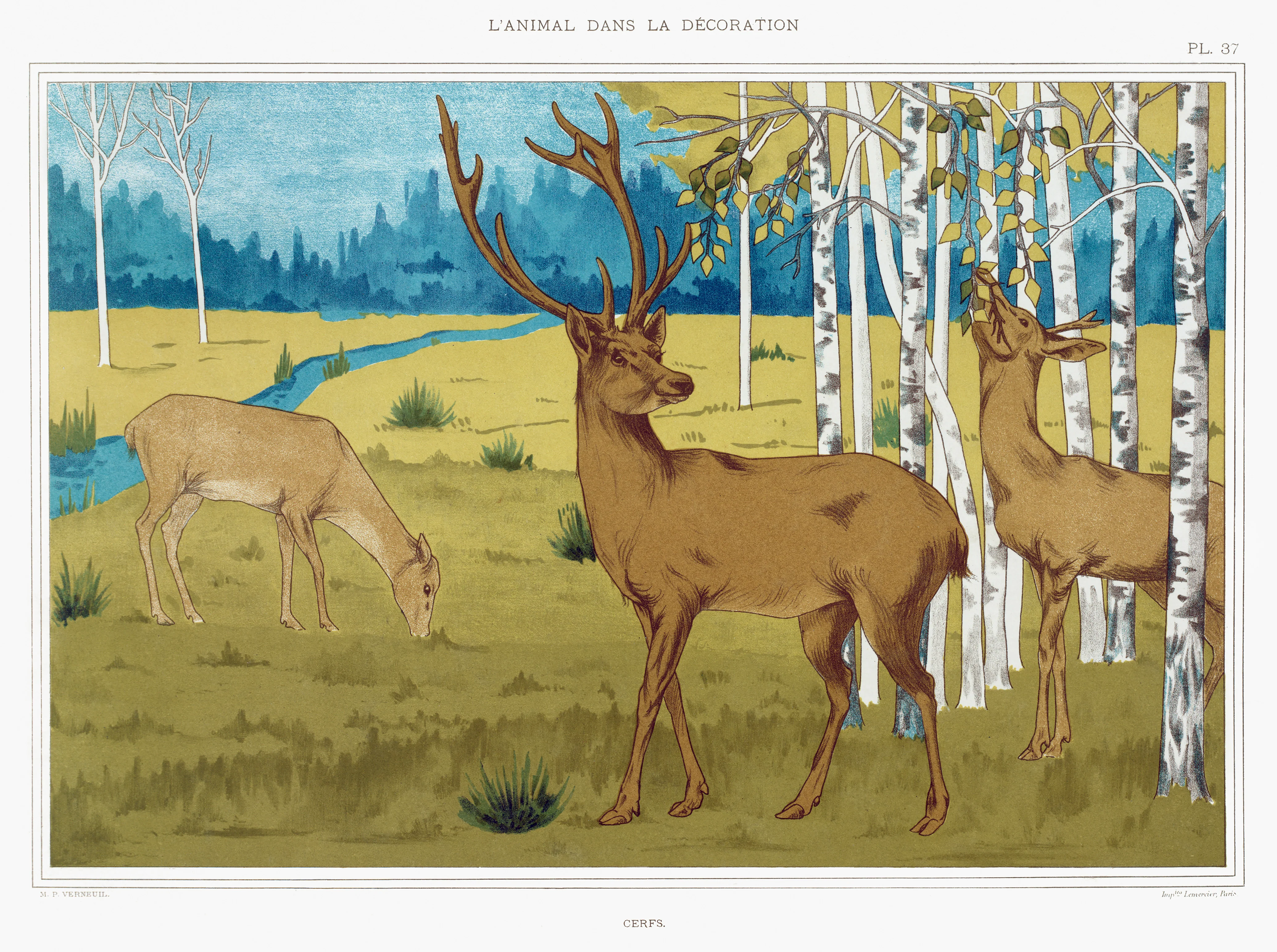 Cerfs from L'animal dans la décoration (1897) illustrated by Maurice Pillard Verneuil