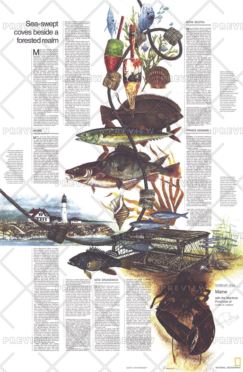 Close-up USA, Maine Theme - Published 1975 by National Geographic