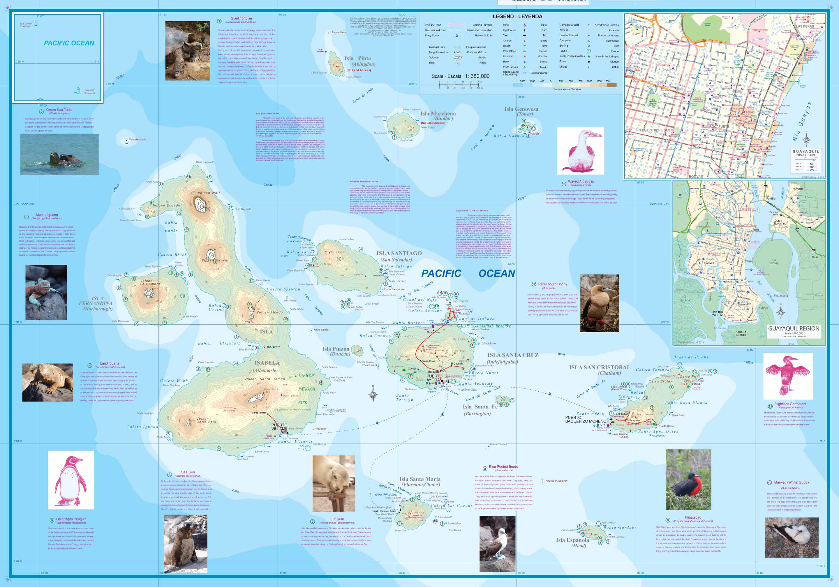 Galapagos Islands Quito & Guayaquil ITMB Map - Image 3